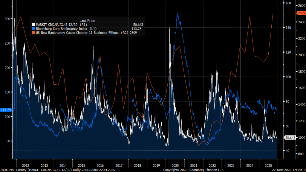 New record number of chapter 11 filings in the US